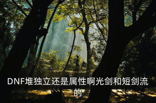 DNF堆独立还是属性啊光剑和短剑流的