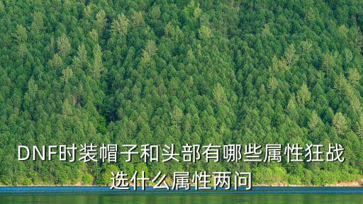 DNF时装帽子和头部有哪些属性狂战选什么属性两问