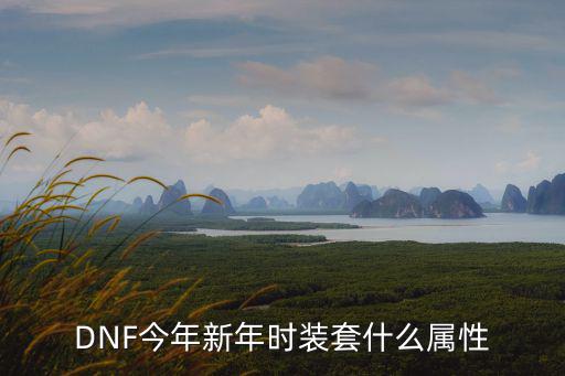 DNF今年新年时装套什么属性