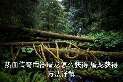 热血传奇武器屠龙怎么获得 屠龙获得方法详解