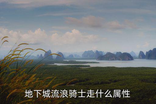 地下城流浪骑士走什么属性