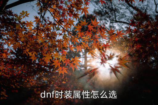 dnf时装加点什么属性，dnf时装属性怎么选