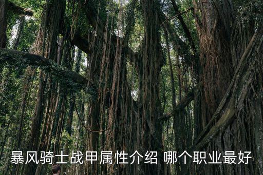 暴风骑士战甲属性介绍 哪个职业最好