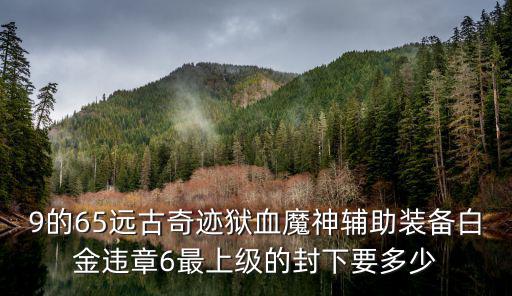 9的65远古奇迹狱血魔神辅助装备白金违章6最上级的封下要多少