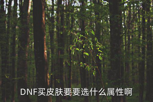 DNF买皮肤要要选什么属性啊