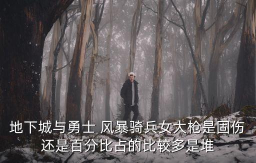地下城与勇士 风暴骑兵女大枪是固伤还是百分比占的比较多是堆