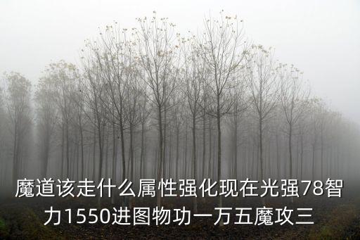 魔道该走什么属性强化现在光强78智力1550进图物功一万五魔攻三