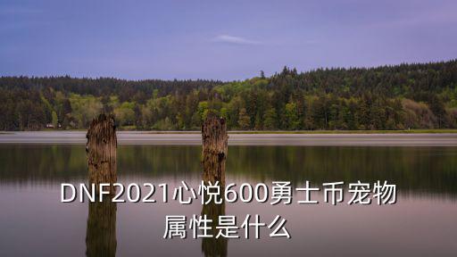 dnf宠物加些什么属性，dnf迷你希曼斯特拉宠物属性是什么