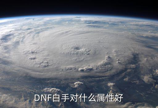 dnf白手属性选什么，dnf白手用什么属性攻好