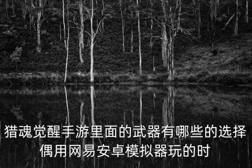 猎魂觉醒手游里面的武器有哪些的选择偶用网易安卓模拟器玩的时