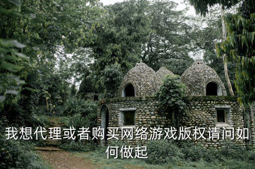 我想代理或者购买网络游戏版权请问如何做起