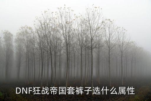 dnf红眼裤子什么属性，狂战士时装裤子选什么属性好
