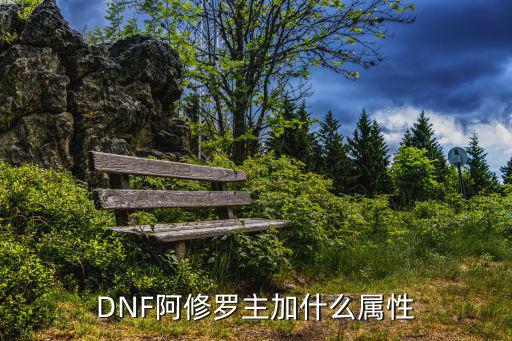 dnf修罗什么属性重要，阿修罗加什么属性最好