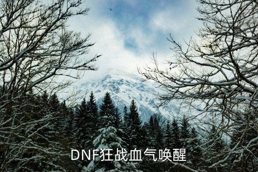 dnf血气唤醒什么属性，DNF狂战血气唤醒