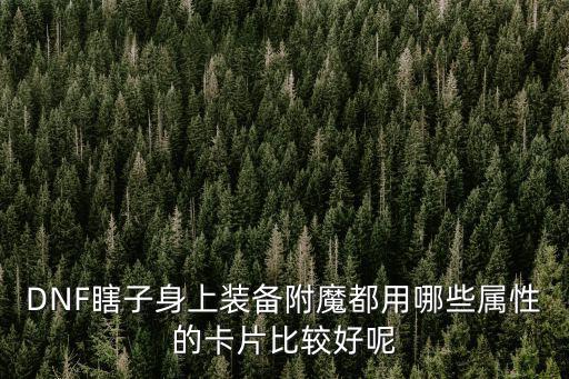 DNF瞎子身上装备附魔都用哪些属性的卡片比较好呢