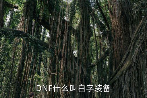 dnf属性白字叫什么，地下城人物属性栏里 红字 白字 是什么意思