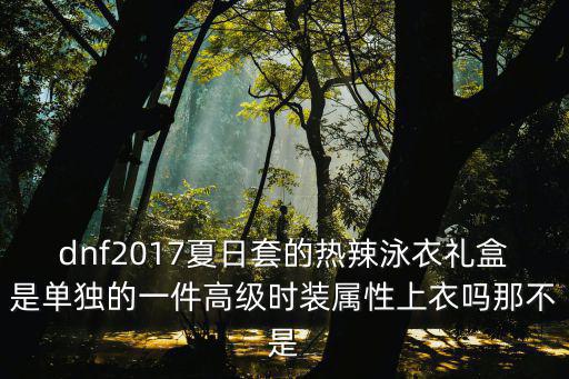 dnf2017夏日套的热辣泳衣礼盒是单独的一件高级时装属性上衣吗那不是