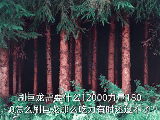 刷巨龙需要什么12000力量1800怎么刷巨龙那么吃力有时还过不了