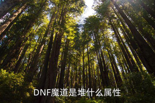 DNF魔道是堆什么属性