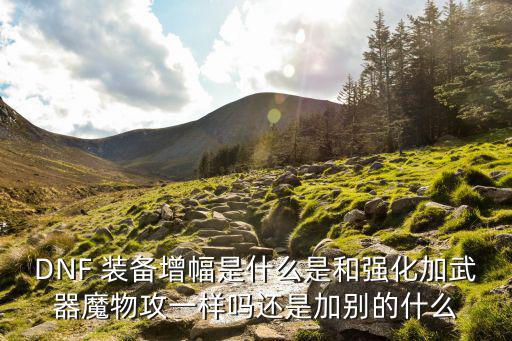 DNF 装备增幅是什么是和强化加武器魔物攻一样吗还是加别的什么