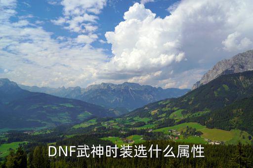 DNF武神时装选什么属性