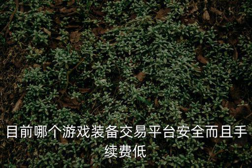 目前哪个游戏装备交易平台安全而且手续费低