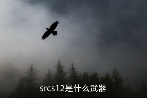 srcs12是什么武器
