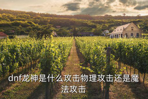 dnf龙神是什么攻击物理攻击还是魔法攻击