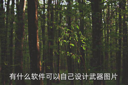 有什么软件可以自己设计武器图片
