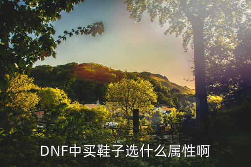 dnf鞋子要什么属性，dnf剑魂鞋子选什么属性