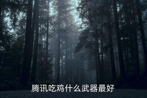 腾讯游戏装备买哪个好，LOL游戏装备买什么牌子好