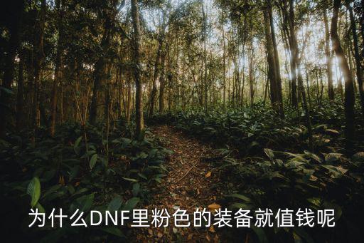 为什么DNF里粉色的装备就值钱呢