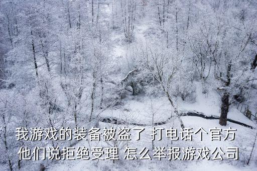 我游戏的装备被盗了 打电话个官方 他们说拒绝受理 怎么举报游戏公司