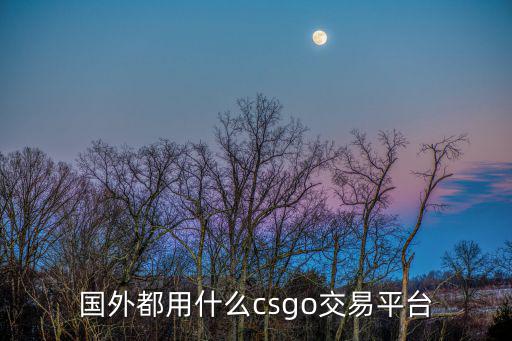 国外都用什么csgo交易平台