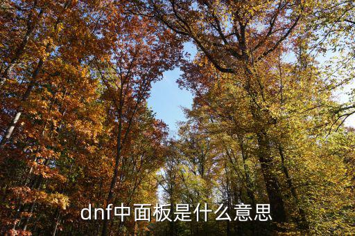 dnf面板属性是什么，dnf中面板是什么意思