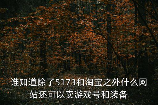 谁知道除了5173和淘宝之外什么网站还可以卖游戏号和装备