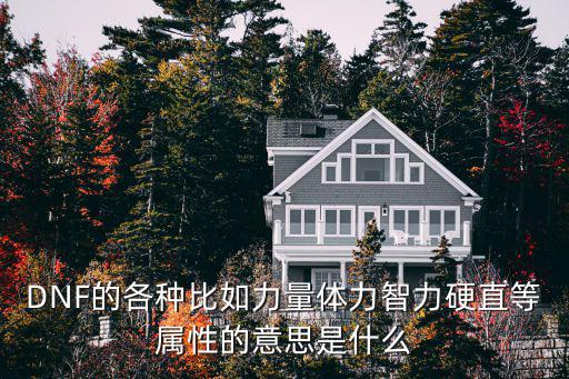 DNF的各种比如力量体力智力硬直等属性的意思是什么