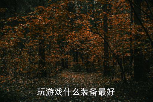 玩游戏什么装备最好