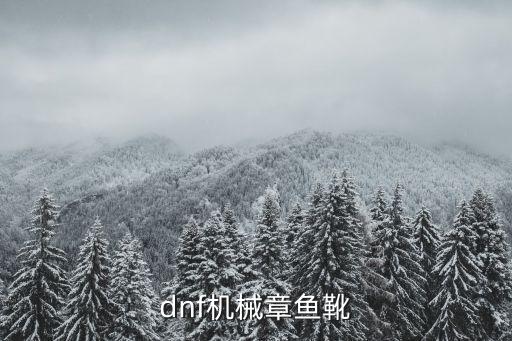 dnf机械章鱼靴