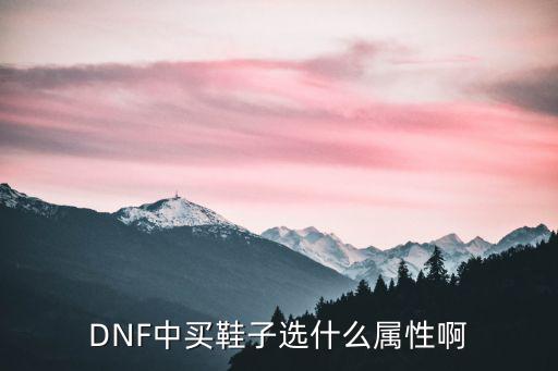 DNF中买鞋子选什么属性啊