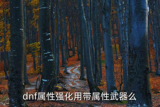dnf属性强化用带属性武器么
