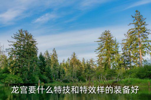 哪个游戏装备带龙特效的，龙宫要什么特技和特效样的装备好