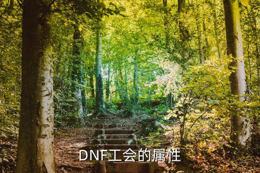 dnf工会都有什么属性，DNF工会的属性