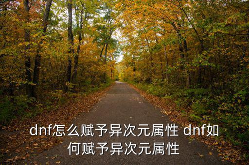 dnf怎么赋予异次元属性 dnf如何赋予异次元属性