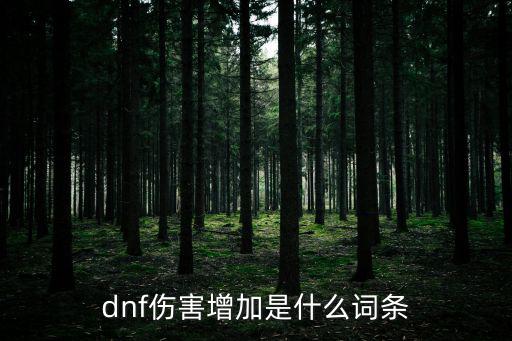dnf伤害增加是什么词条