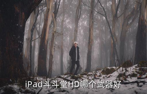 苹果平板打游戏装备哪个好，iPad斗斗堂HD哪个武器好