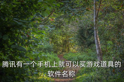 腾讯有一个手机上就可以买游戏道具的软件名称