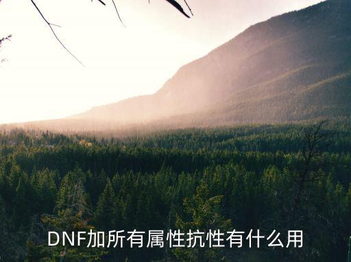 dnf属性抗性加什么，地下城中所有属性抗性加几几的有什么用