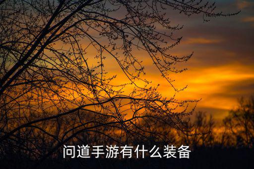 问道手游有什么装备