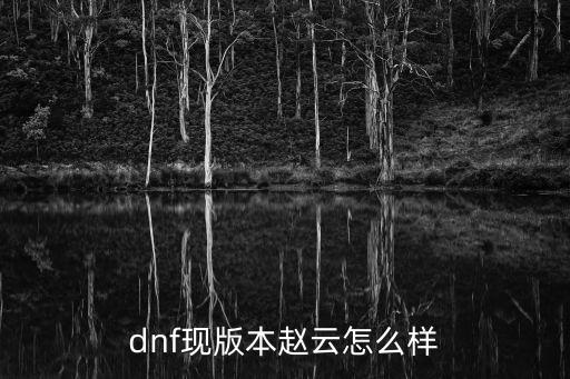 dnf现版本赵云怎么样